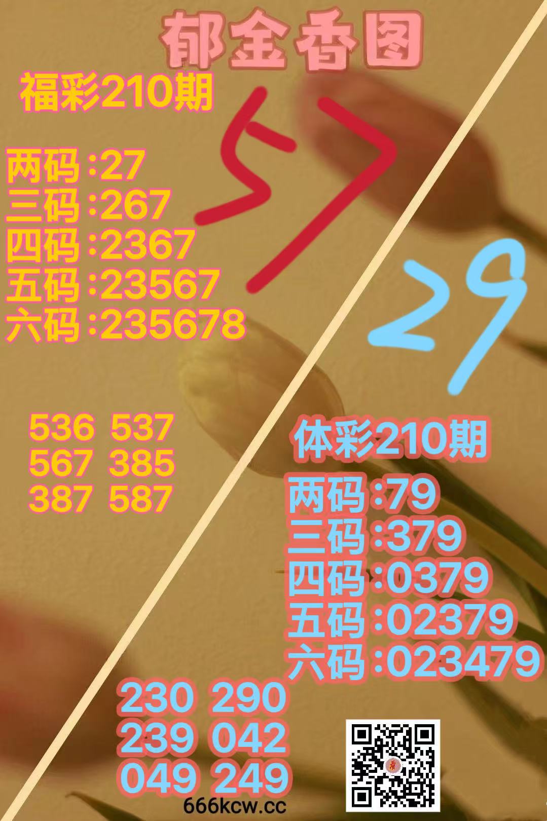 1000040621