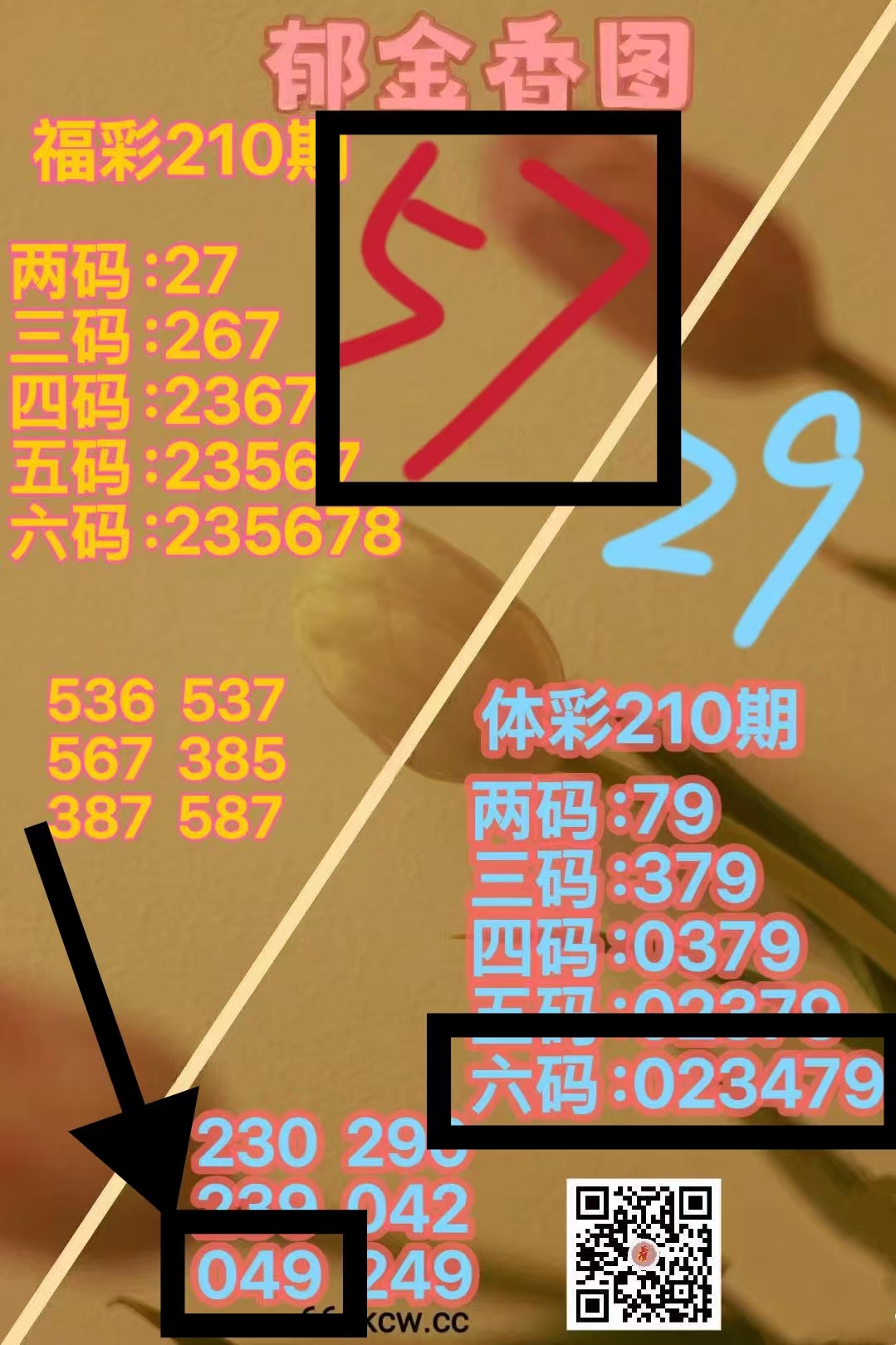 微信图片_20260808231442_697_2