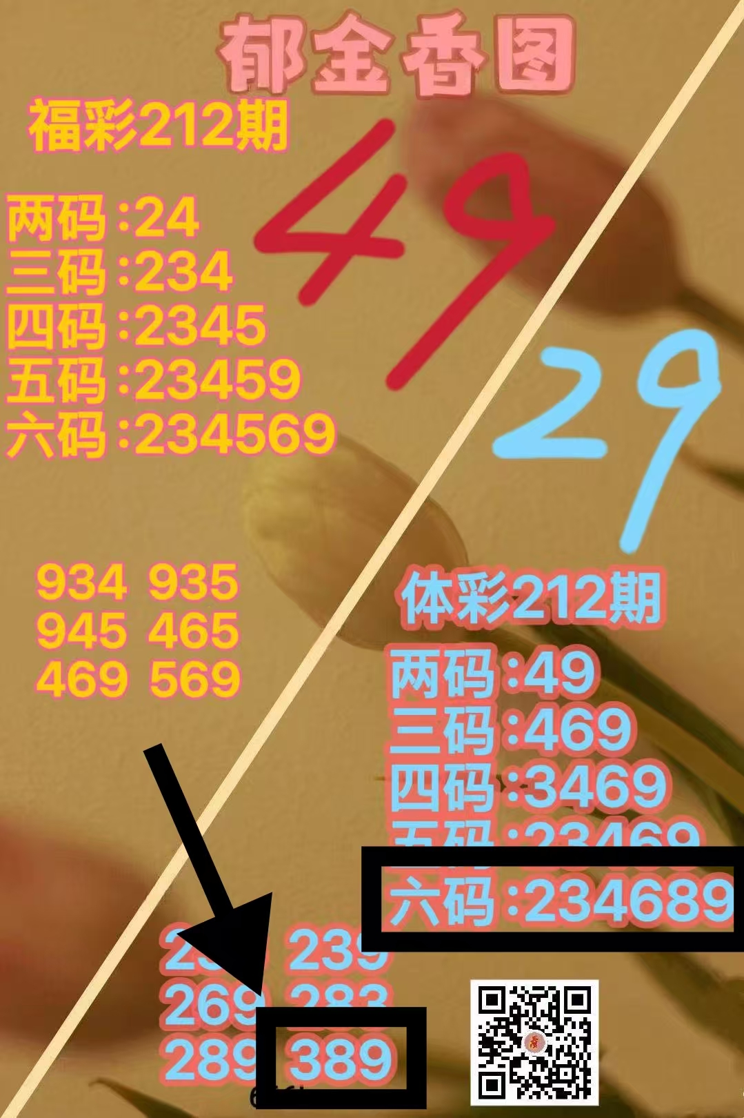 微信图片_20260811003534_746_2