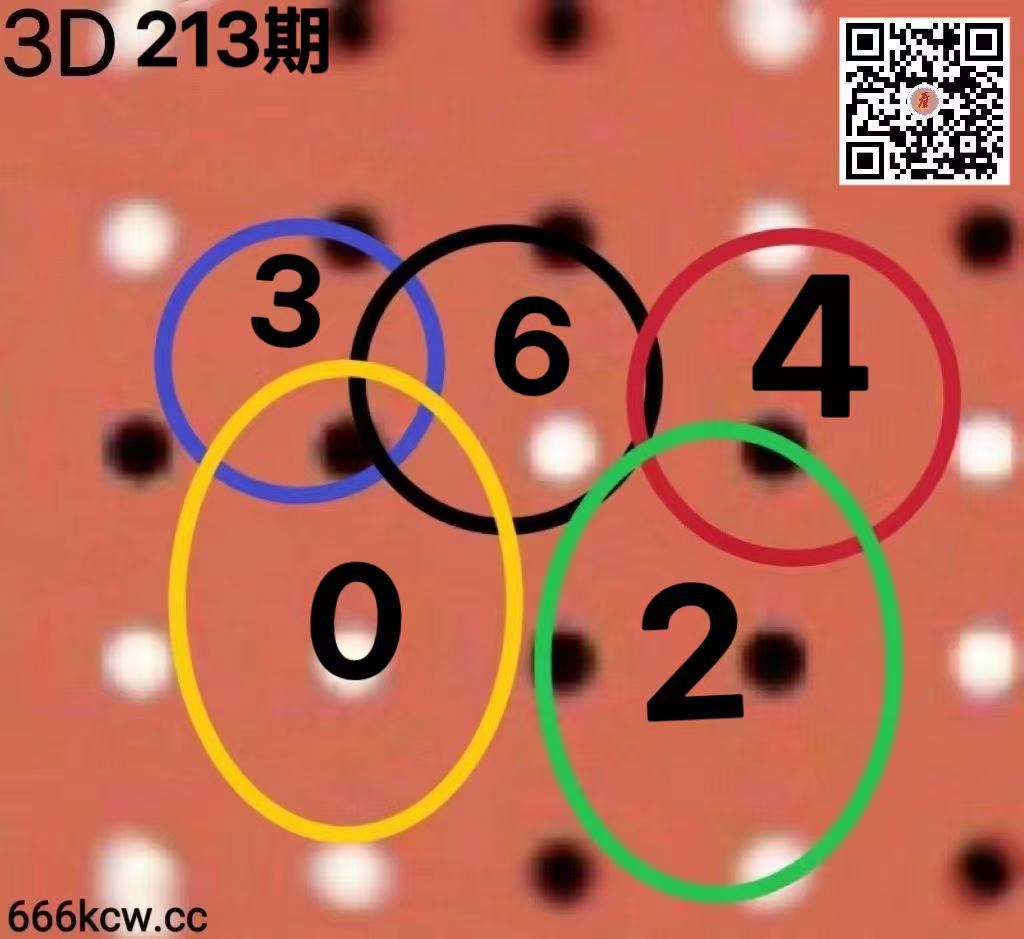 20260811 (23)