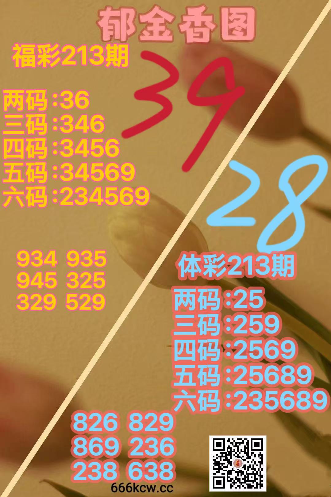 微信图片_20260811165014_1283_38