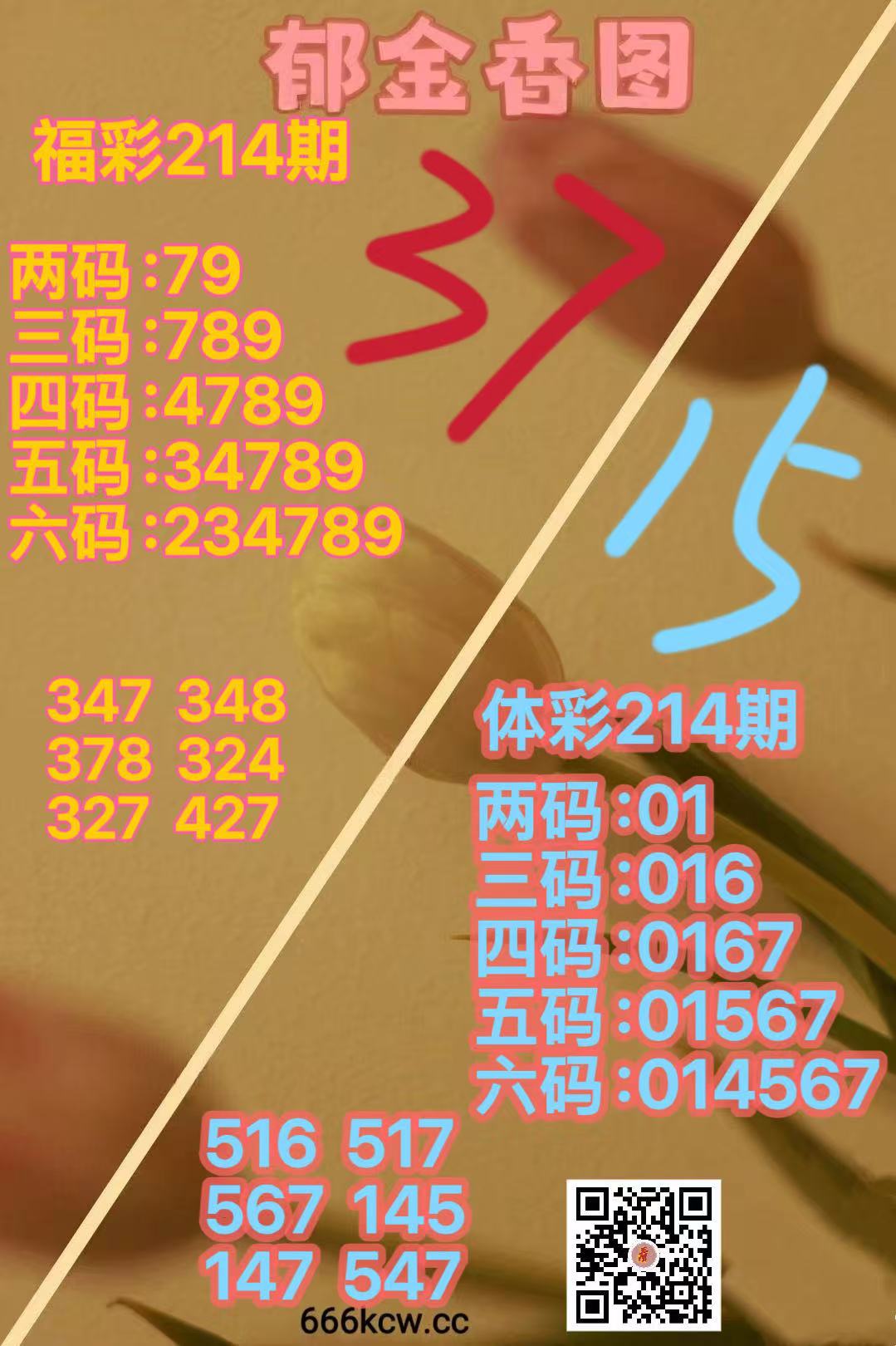 微信图片_20260812165010_1313_38