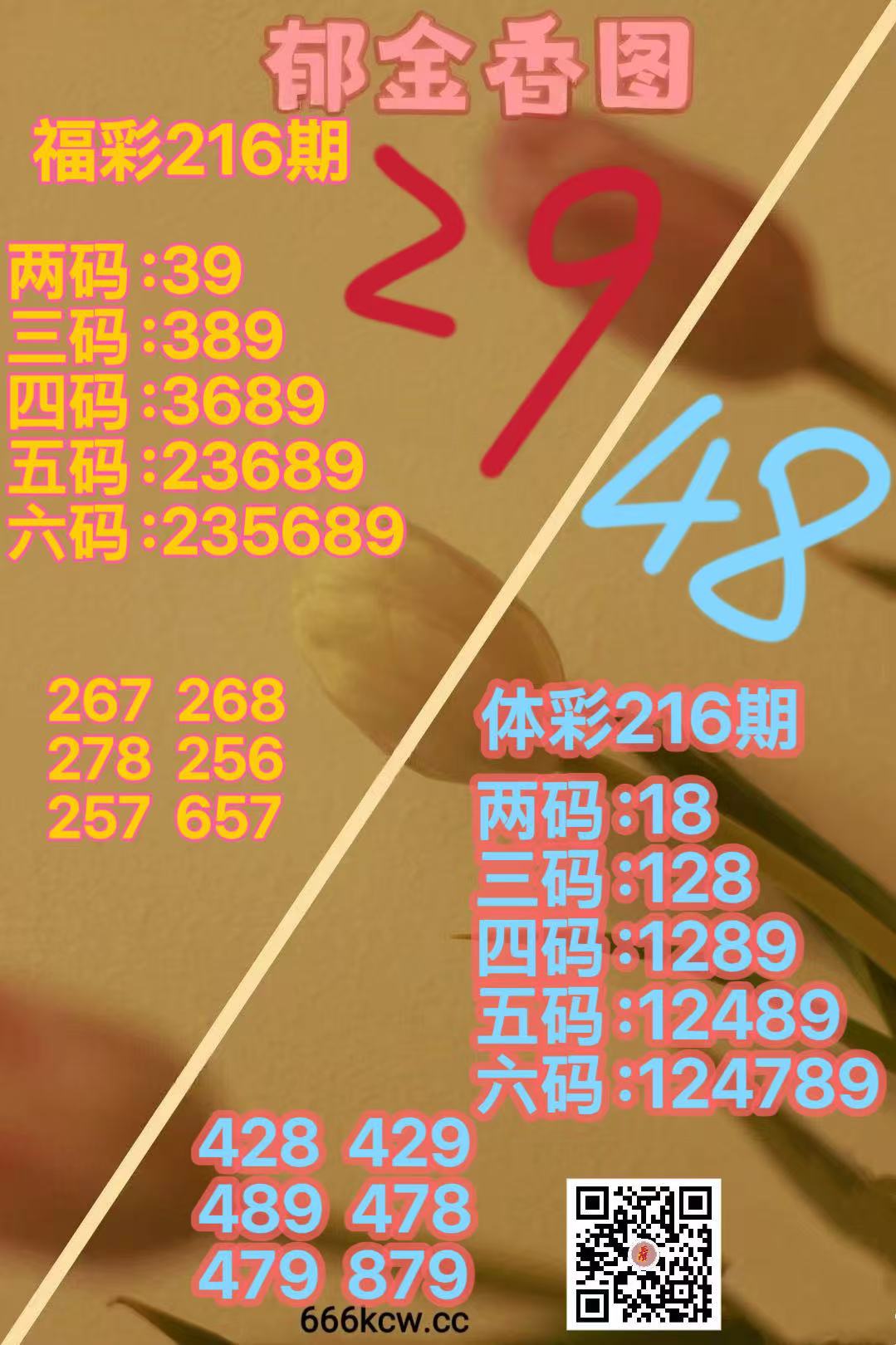 mmexport1786698146031