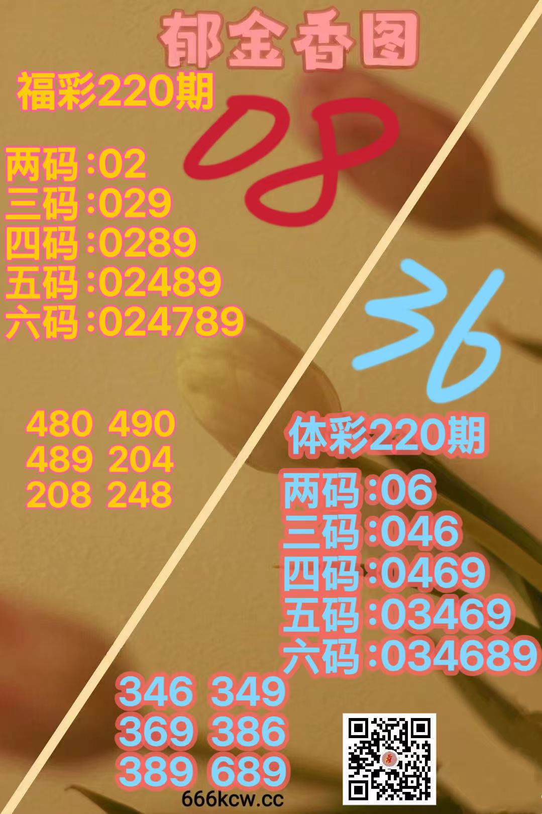 1000041628