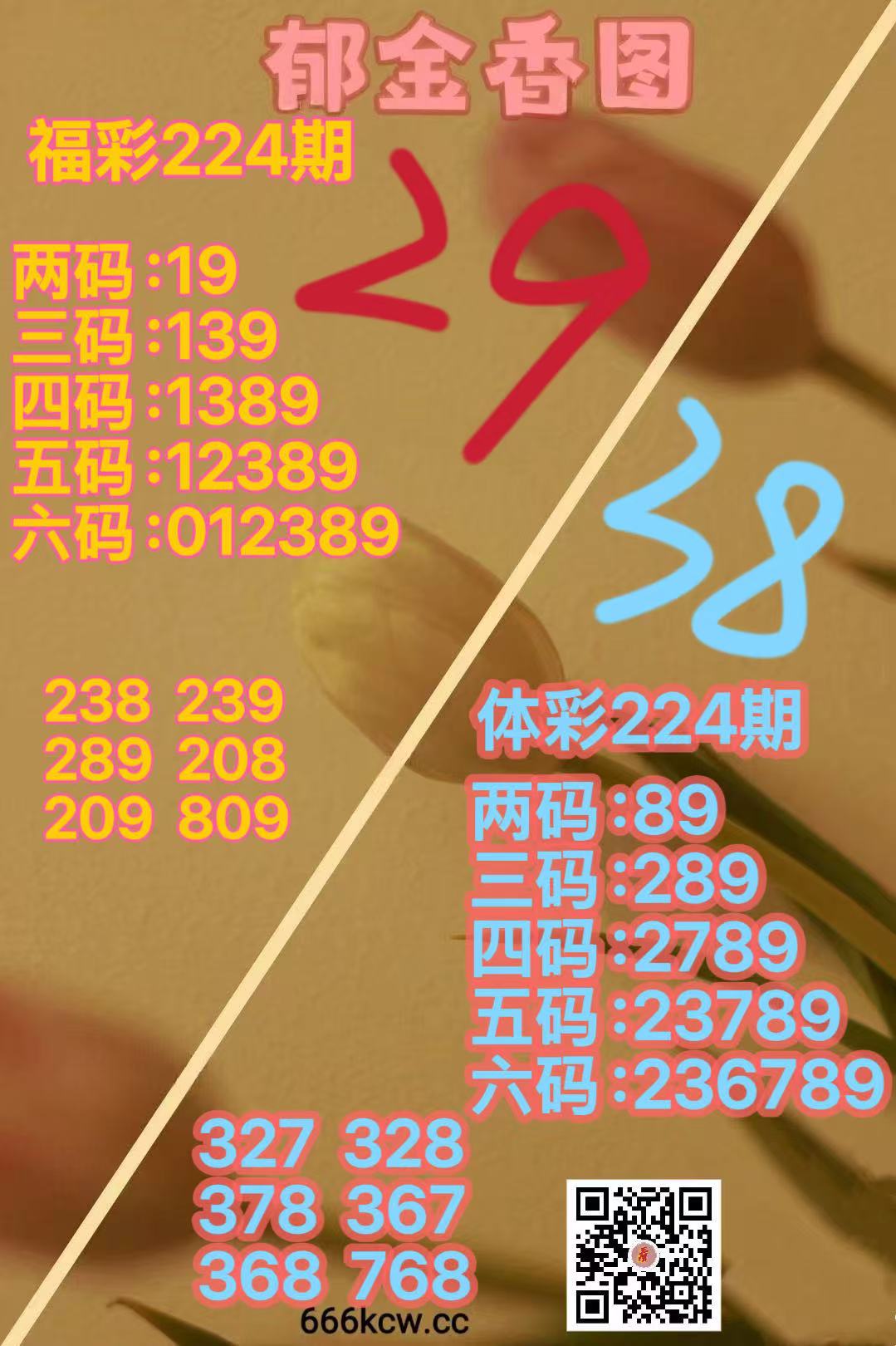 微信图片_20260822164502_1764_38