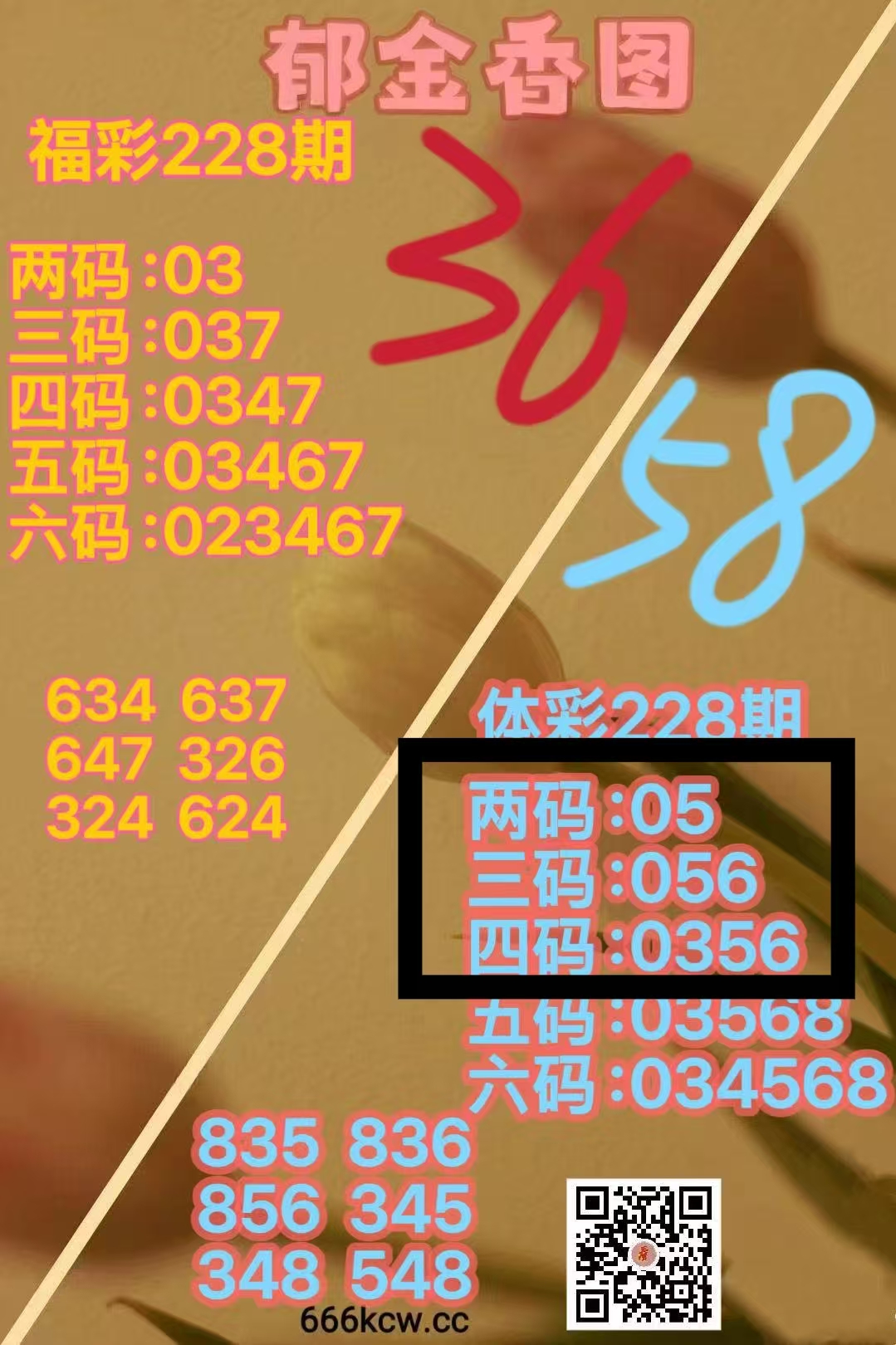 微信图片_20260827003809_1116_2