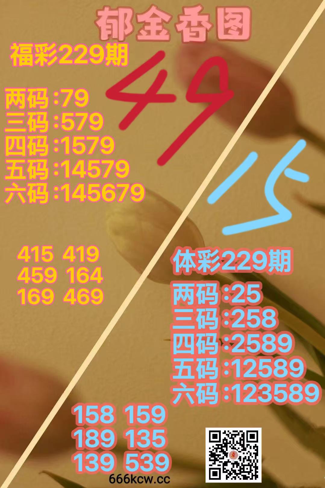 微信图片_20260827165017_1954_38