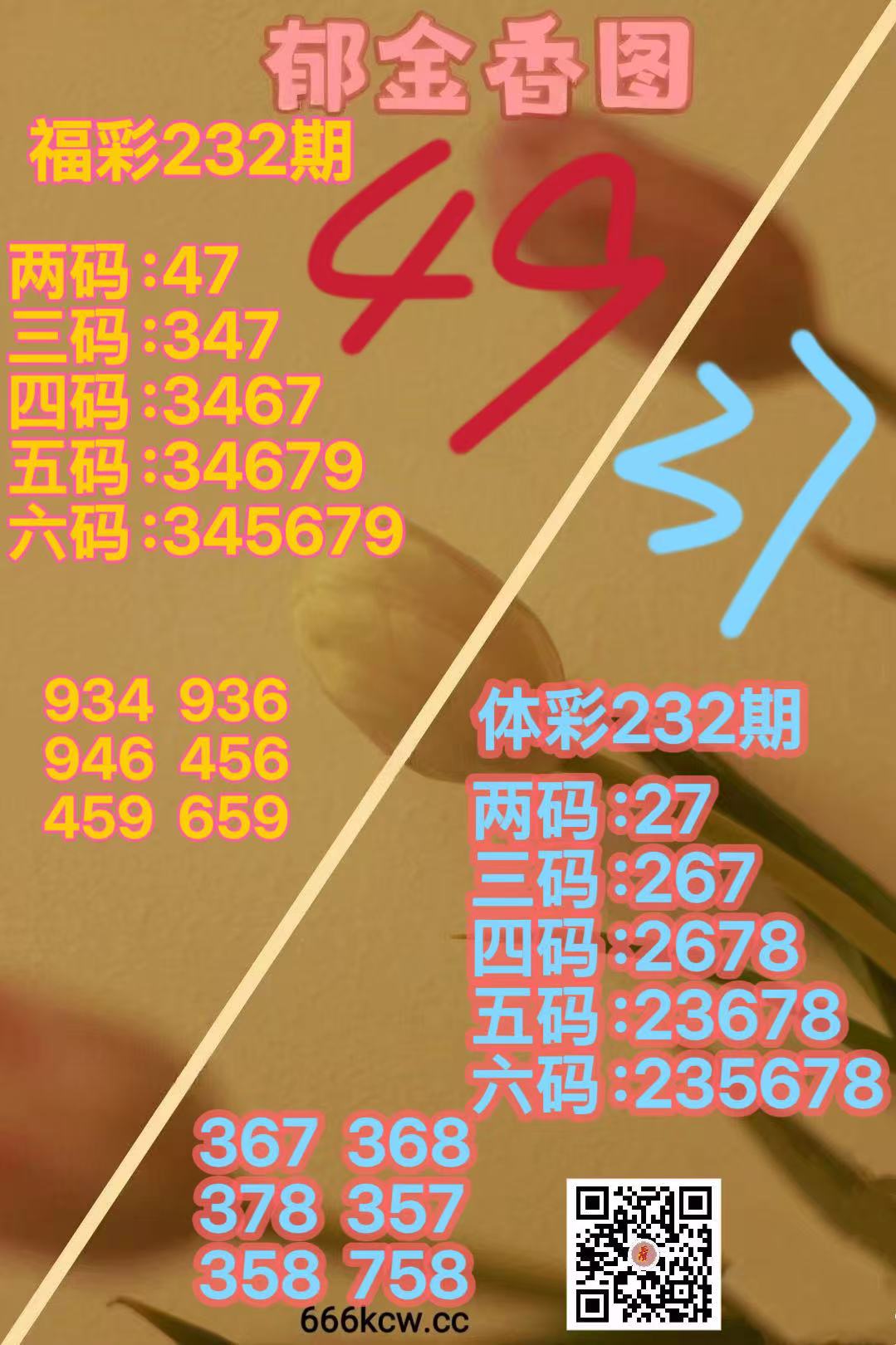 微信图片_20260830170706_2311_52