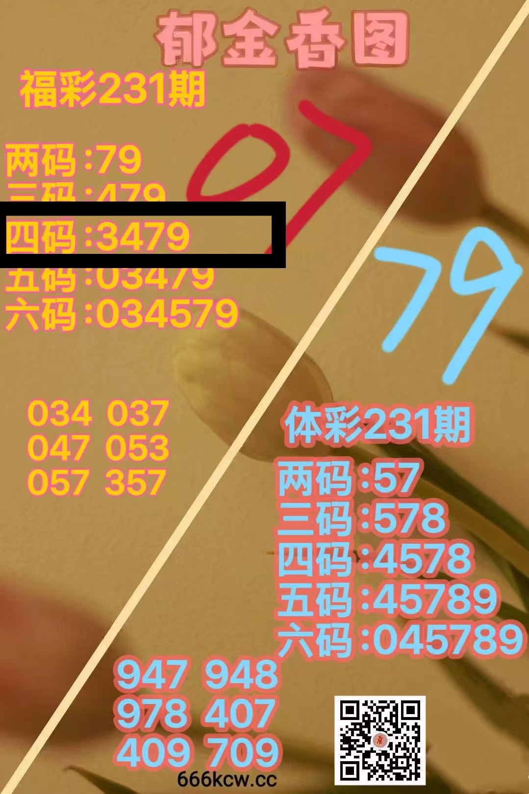 微信图片_20260830022237_1171_1