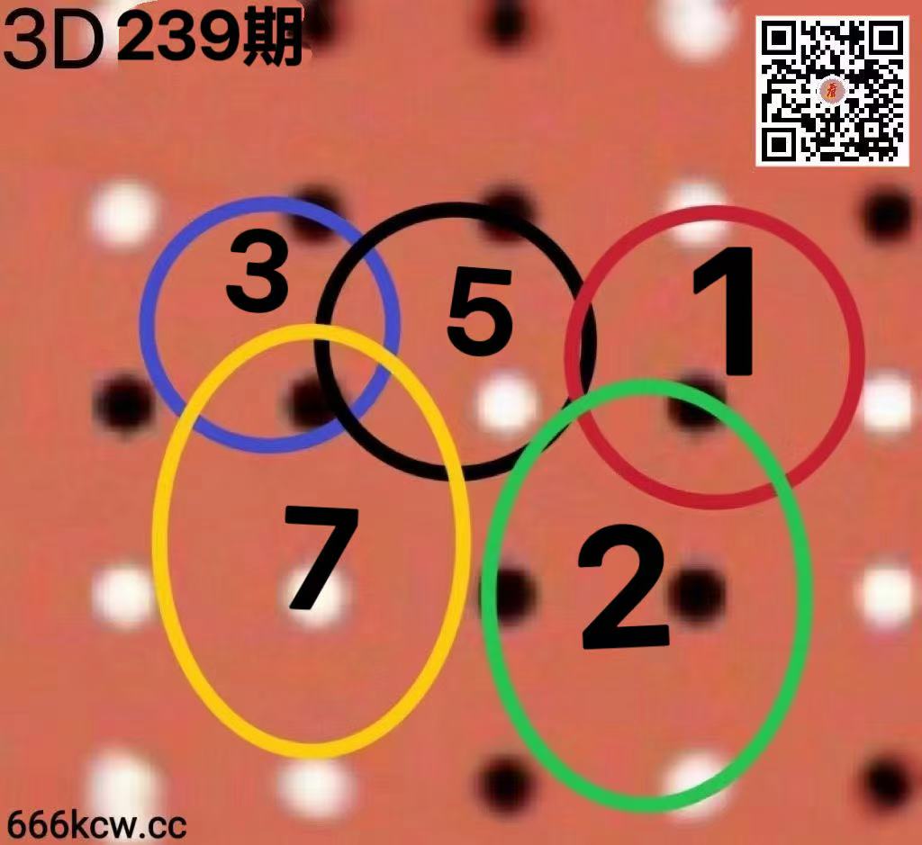 2026096 (23)