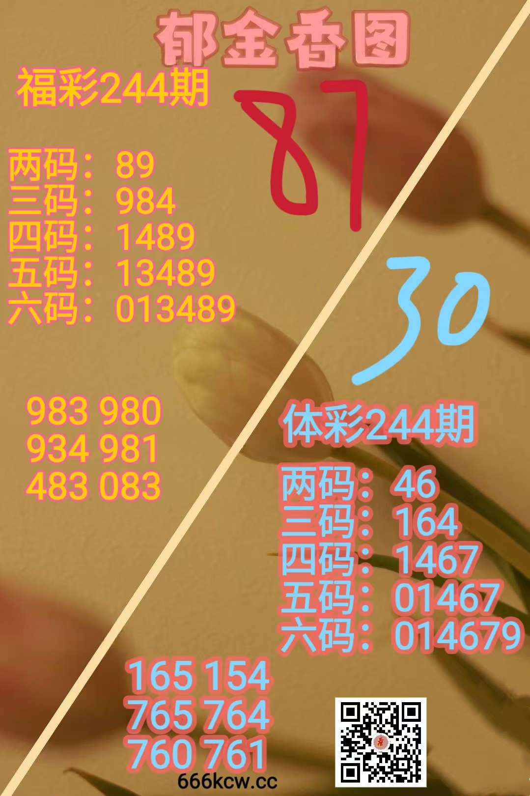1000043397