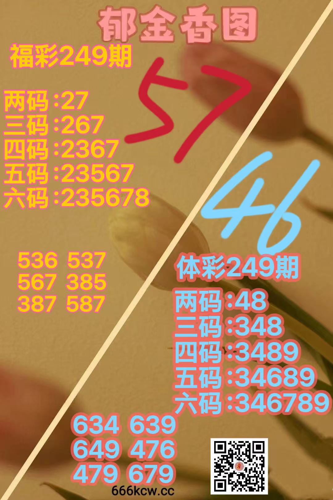 微信图片_20260916165014_2792_38