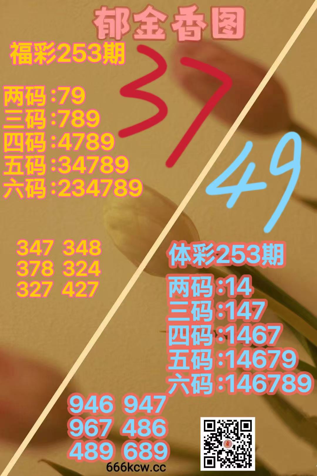 微信图片_20260920164616_2944_38