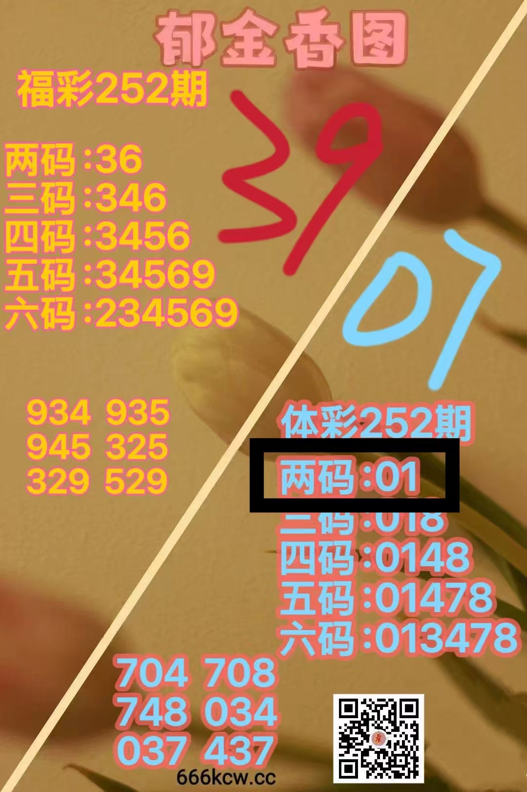 微信图片_20260920030403_1671_2