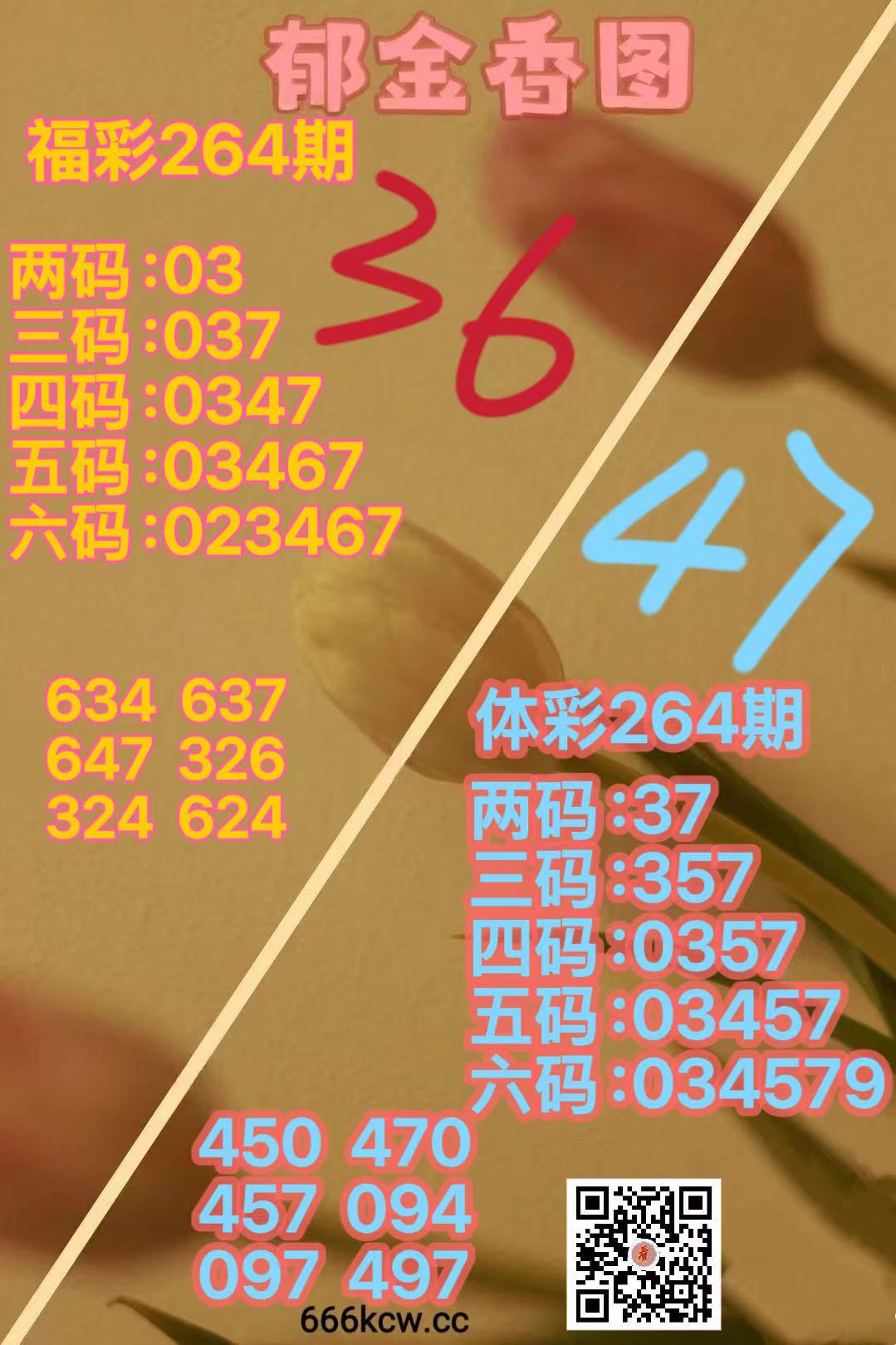 20261009 (5)