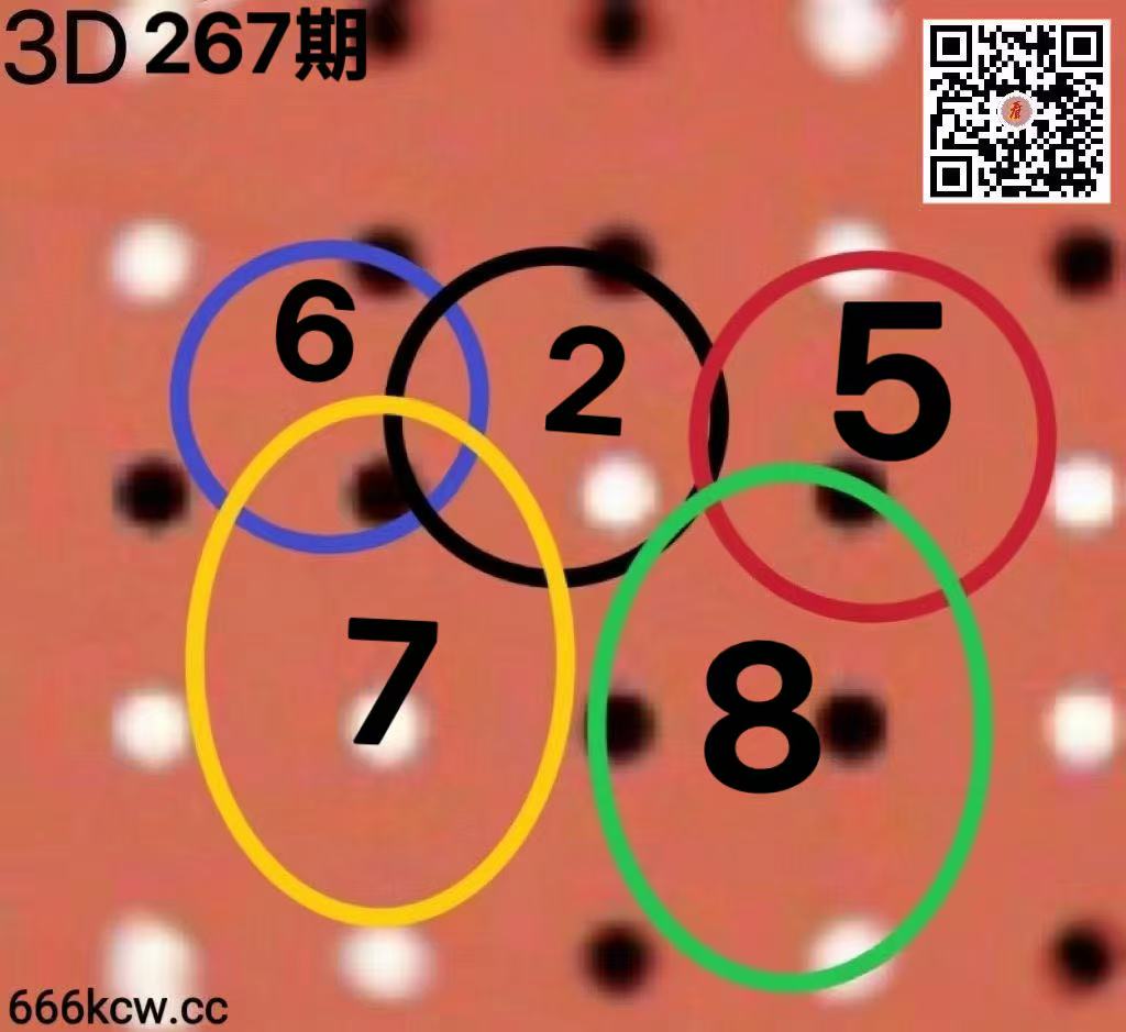 20261008 (23)
