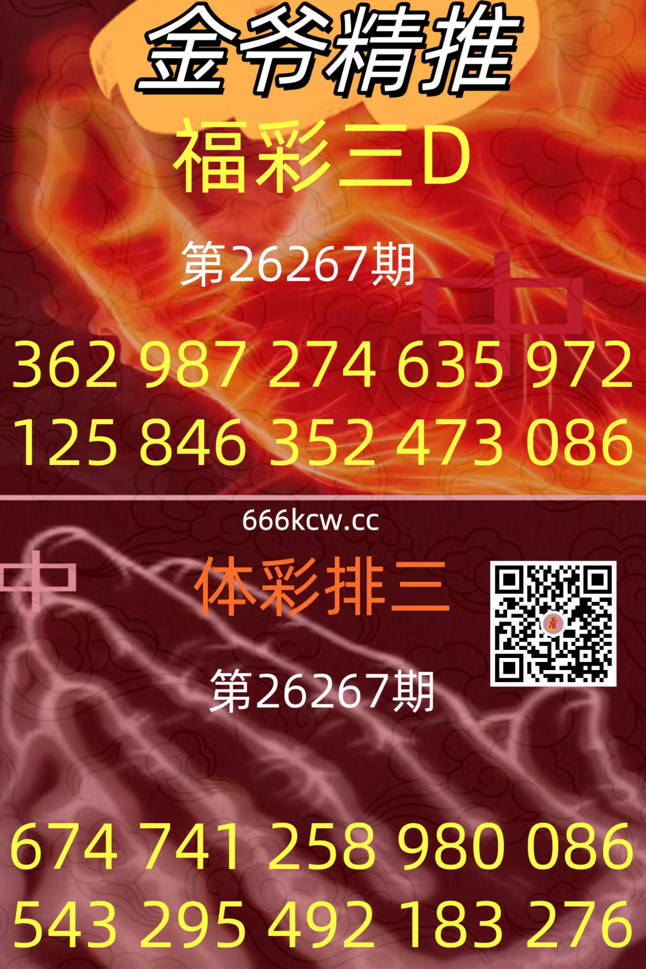 20261008 (28)