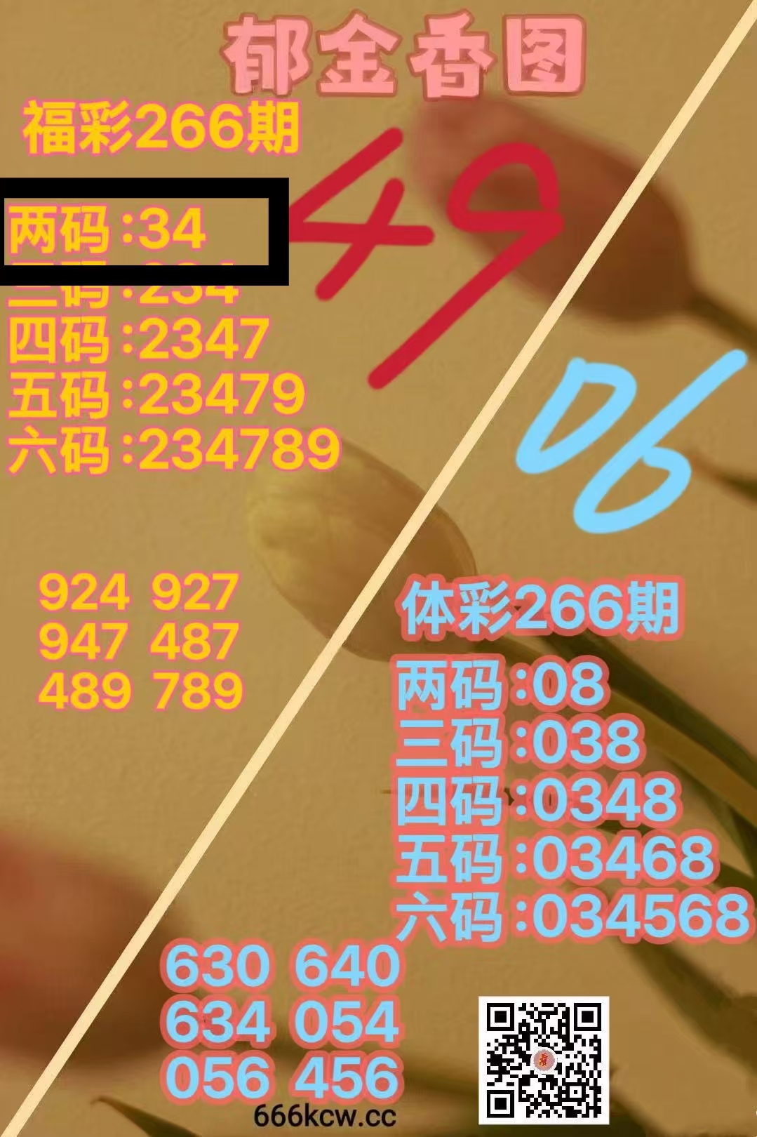 微信图片_20261007223834_2030_1