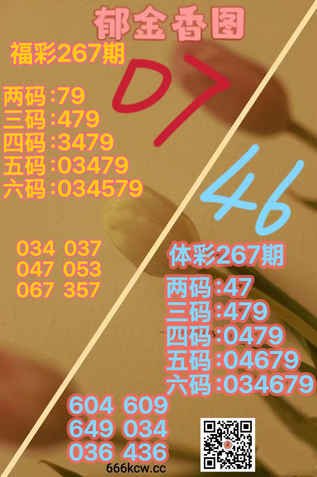 微信图片_20261008170851_3465_38