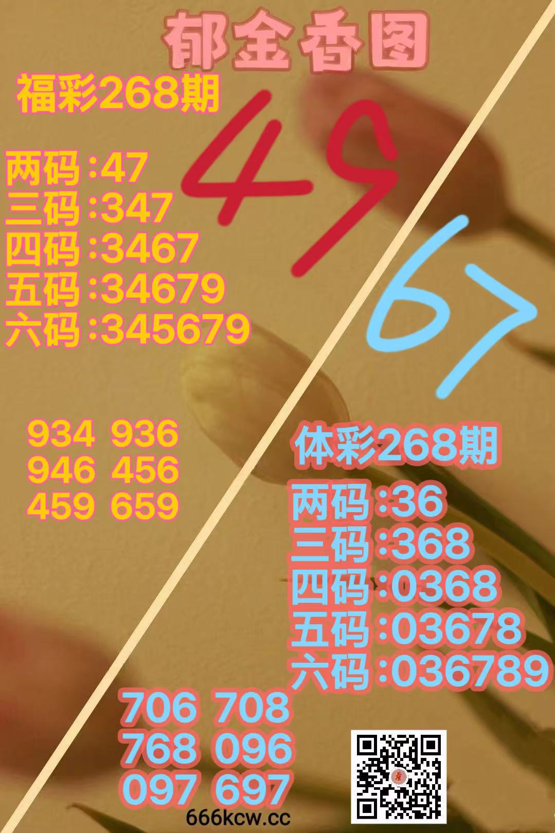 微信图片_20261009164914_3469_38