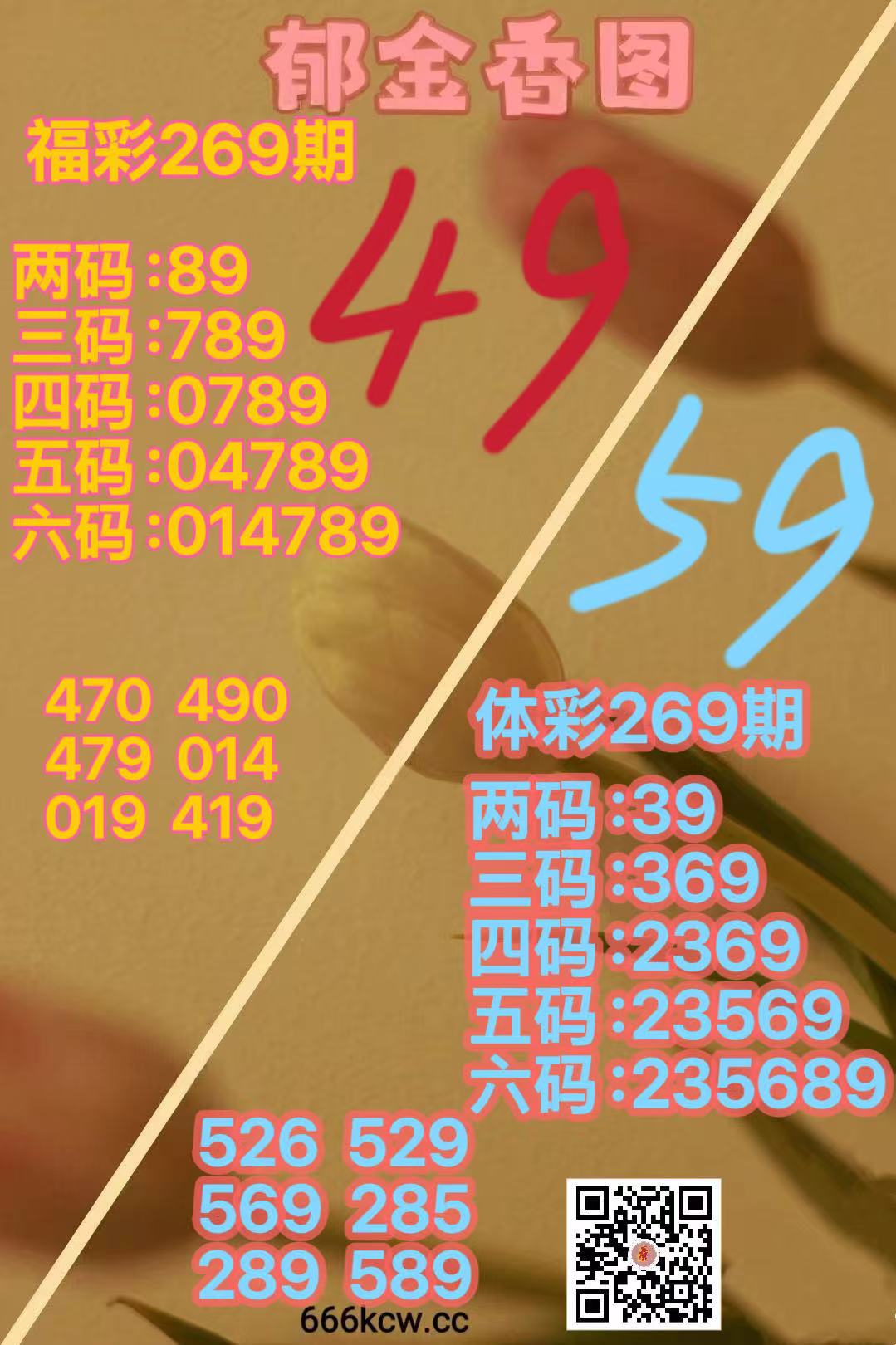 微信图片_20261010170625_3608_52