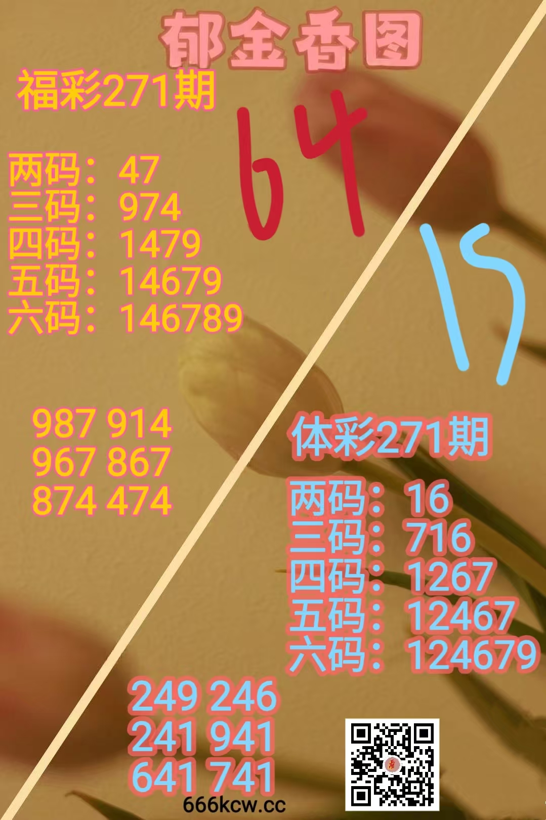 202610123 (2)