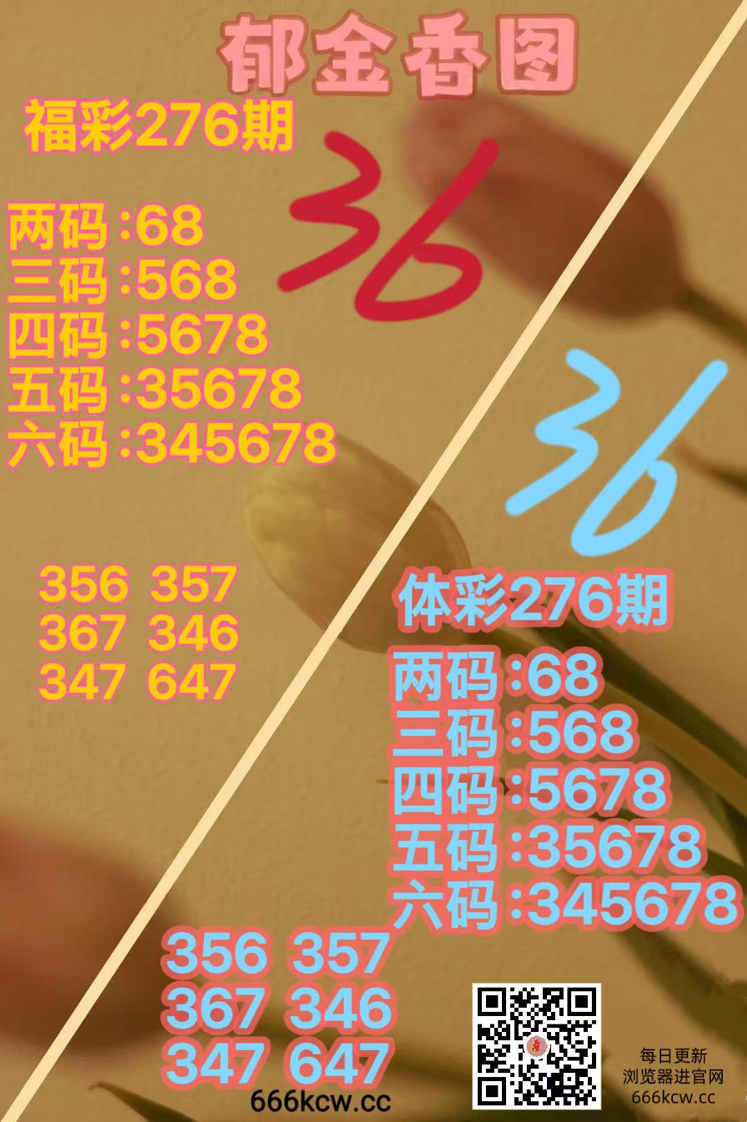 微信图片_20261017170033_3676_52