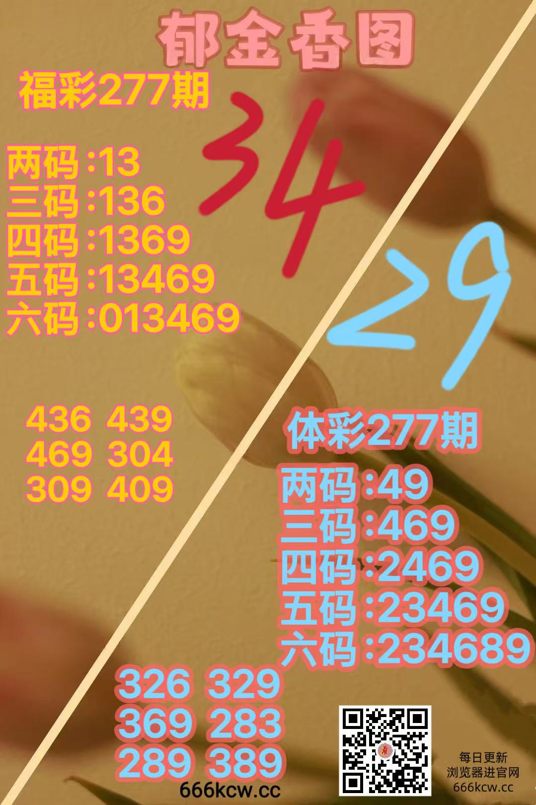 20261018 (11)